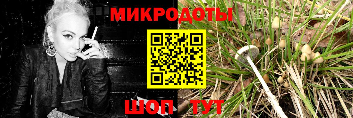 Галлюциногенные грибы Magic Shrooms  Вход с VPN  как найти   Кимры 