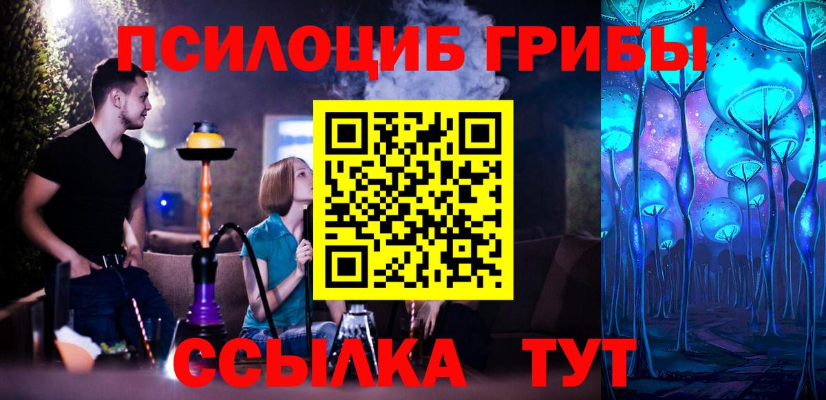 Псилоцибиновые грибы Cubensis Кимры